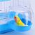 IntiMeg Baignoire suspendue pour oiseaux