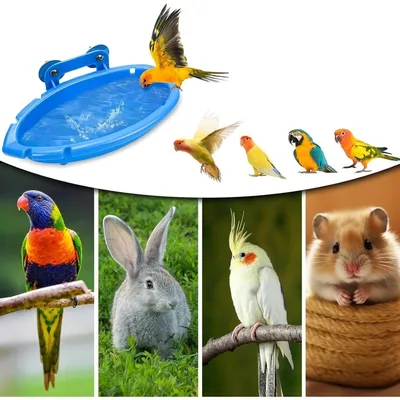 ZooVenture Baignoire Pour Oiseaux 2 Pièces Pour Oiseaux