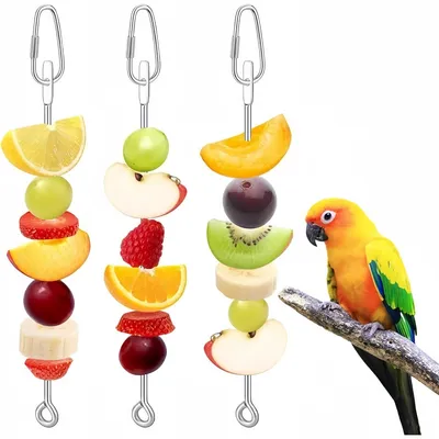 ZooVenture Brochetas de acero inoxidable de 3 piezas para loros