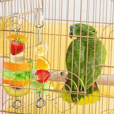 ZooVenture Brochetas de acero inoxidable de 3 piezas para loros