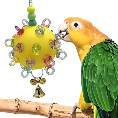 FurryFusion Balle à mâcher pour perroquet