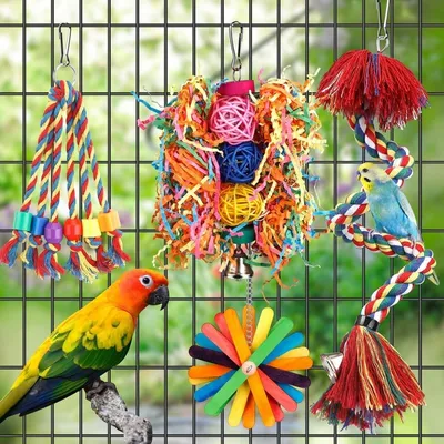 ZooVenture Jouet Perchoir En Corde Avec Clochette Colorée Pour Oiseaux