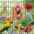 ZooVenture Jouet Perchoir En Corde Avec Clochette Colorée Pour Oiseaux
