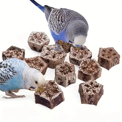 IntiMeg Juguete masticable para loros
