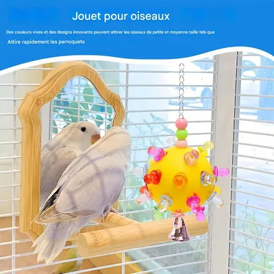 FurryFusion Balle à mâcher pour perroquet