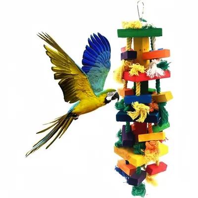 ZooVenture Juguete masticable multicolor de madera natural para loros