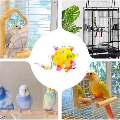 FurryFusion Balle à mâcher pour perroquet