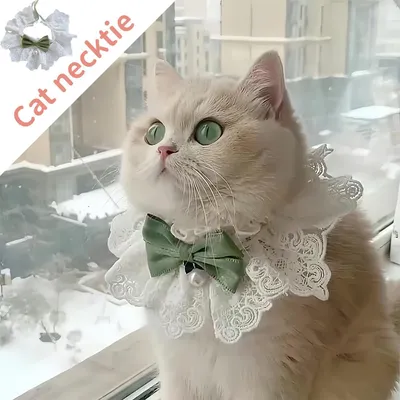 UAMLY Collier pour chat avec perle et nœud floral
