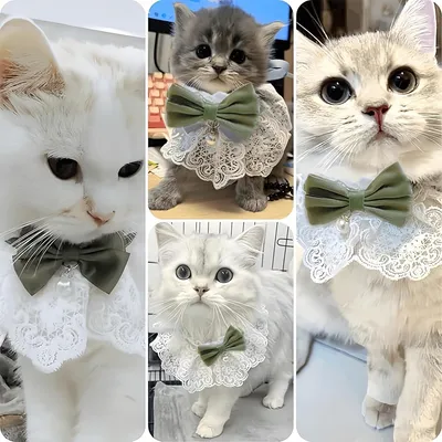UAMLY Collar para gato con lazo de perlas y flores