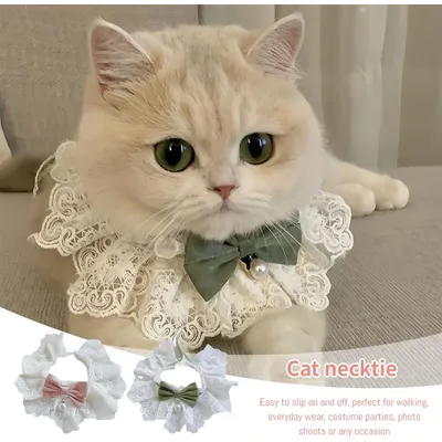 UAMLY Collier pour chat avec perle et nœud floral