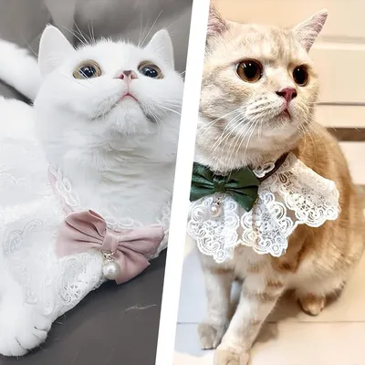 UAMLY Collier pour chat avec perle et nœud floral