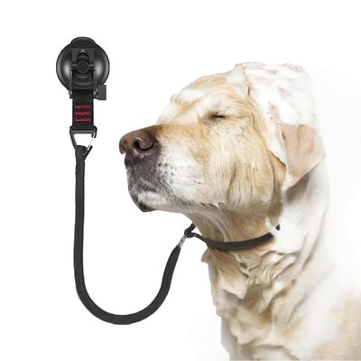 ZenPets Boucle de toilettage pour chien