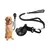 ZenPets Boucle de toilettage pour chien ZenPets Boucle de toilettage pour chien