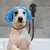 ZenPets Boucle de toilettage pour chien ZenPets Boucle de toilettage pour chien