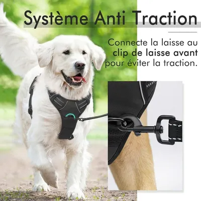 Pet Planet Harnais Anti - Traction Réfléchissant Chiens