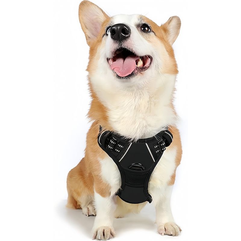 Pet Planet Harnais Anti - Traction Réfléchissant Chiens