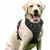 Pet Planet Harnais Anti - Traction Réfléchissant Chiens