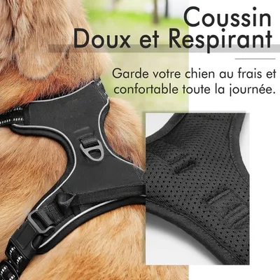 Pet Planet Harnais Anti - Traction Réfléchissant Chiens