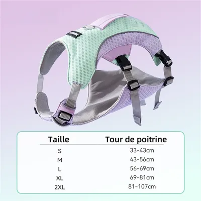 Pet Planet Harnachement de refroidissement pour chien d'été