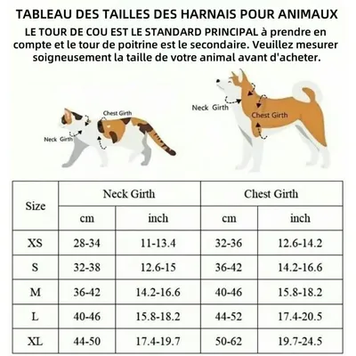 ZenPets Ensemble Harnis Et Laisse Pour Chiens Et Chats