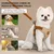 ZenPets Ensemble Harnis Et Laisse Pour Chiens Et Chats