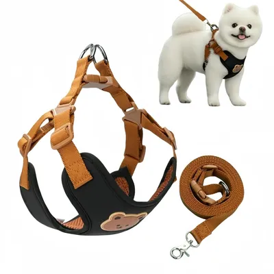 ZenPets Ensemble Harnis Et Laisse Pour Chiens Et Chats
