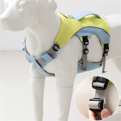 Pet Planet Harnachement de refroidissement pour chien d'été