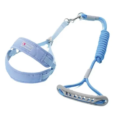 FurryFusion Harnais pour petit chien