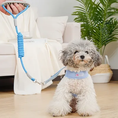 FurryFusion Harnais pour petit chien