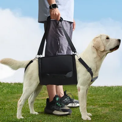FurryFusion Porteur pour chien sling