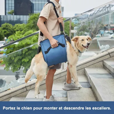 FurryFusion Porteur pour chien sling
