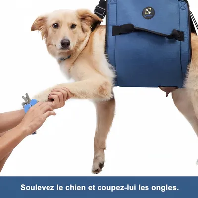 FurryFusion Transportín tipo bandolera para perros