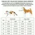 ZenPets Ensemble Harnis Et Laisse Pour Chiens Et Chats