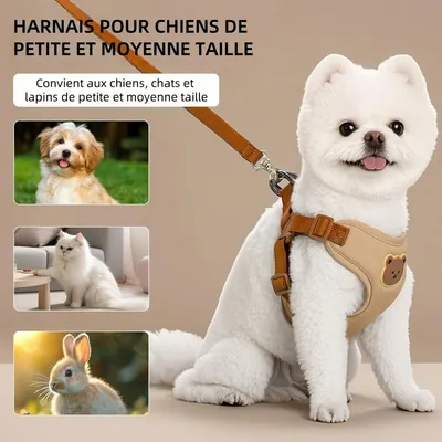 ZenPets Conjunto de arnés y correa para perros y gatos