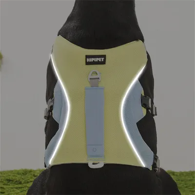 Pet Planet Harnachement de refroidissement pour chien d'été