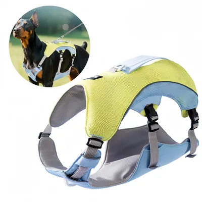 Pet Planet Harnachement de refroidissement pour chien d'été Pet Planet Harnachement de refroidissement pour chien d'été