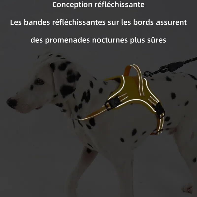 Pet Planet SafeRide Harnais Réfléchissant Pour Chiens
