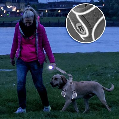 Pet Planet SafeWalk Ensemble Harnais Et Laisse Pour Chiens
