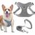 Pet Planet SafeWalk Ensemble Harnais Et Laisse Pour Chiens