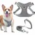 Pet Planet SafeWalk Ensemble Harnais Et Laisse Pour Chiens Pet Planet SafeWalk Ensemble Harnais Et Laisse Pour Chiens