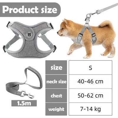 Pet Planet SafeWalk Ensemble Harnais Et Laisse Pour Chiens