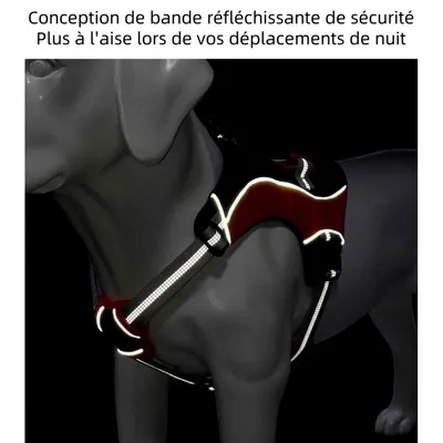 Pet Planet Harnais Gilet Sans Traction Poignée Pince Avant Chien