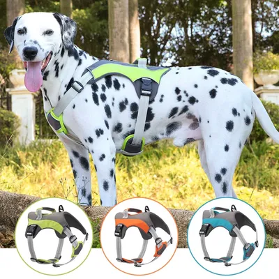 Pet Planet Harnais Gilet Sans Traction Poignée Pince Avant Chien