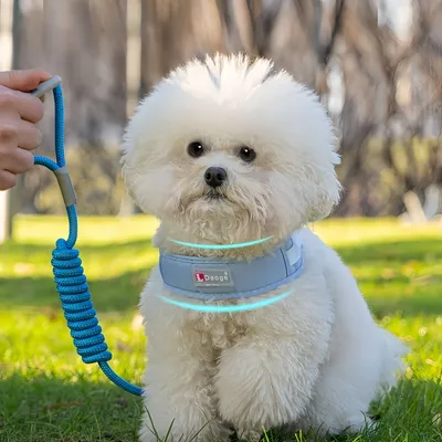 FurryFusion Arnés para perros pequeños