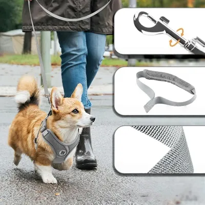Pet Planet SafeWalk Ensemble Harnais Et Laisse Pour Chiens