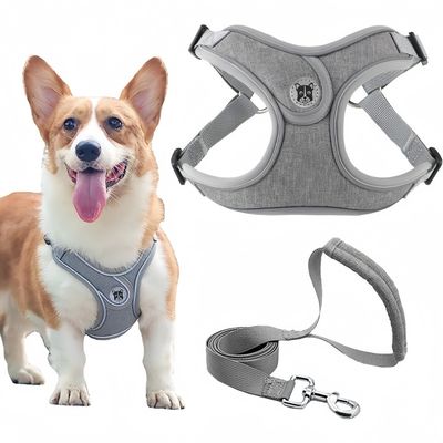 Pet Planet SafeWalk Ensemble Harnais Et Laisse Pour Chiens