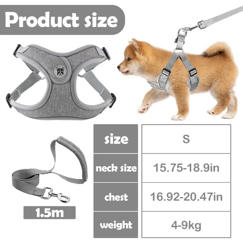 Pet Planet SafeWalk Ensemble Harnais Et Laisse Pour Chiens