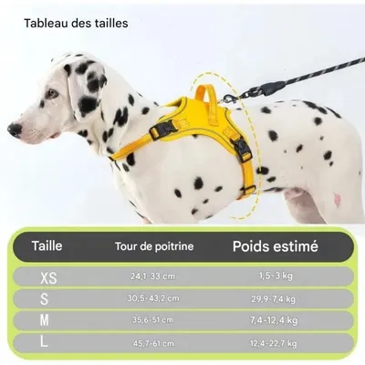 Pet Planet SafeRide Harnais Réfléchissant Pour Chiens