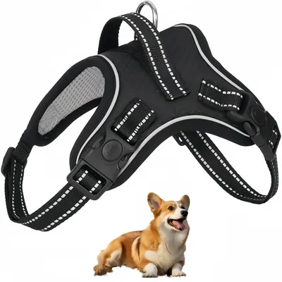 Pet Planet SafeRide Harnais Réfléchissant Pour Chiens Pet Planet SafeRide Harnais Réfléchissant Pour Chiens