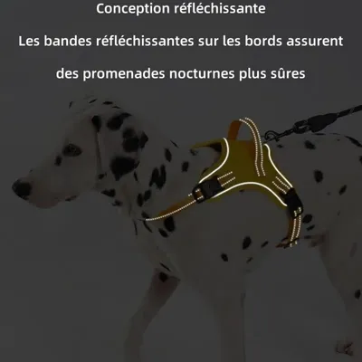 Pet Planet SafeRide Harnais Réfléchissant Pour Chiens